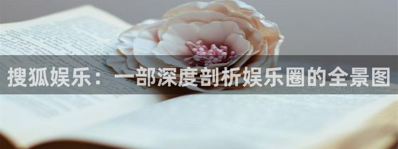 摩登7登录注册：搜狐娱乐：一部深度剖析娱乐圈的全景图