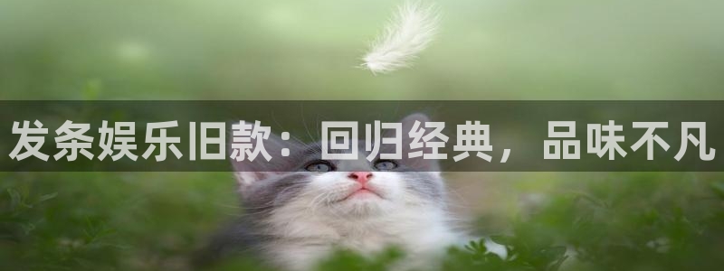 摩登7平台：发条娱乐旧款：回归经典，品味不凡