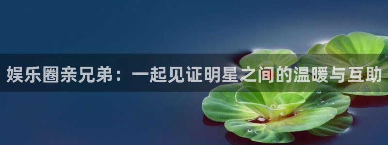 摩登7：娱乐圈亲兄弟：一起见证明星之间的温暖与互助