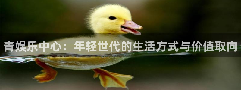 upload/20250701114914.jpg