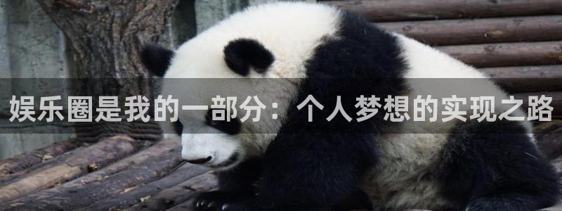 摩登7平台注册：娱乐圈是我的一部分：个人梦想的实现之路
