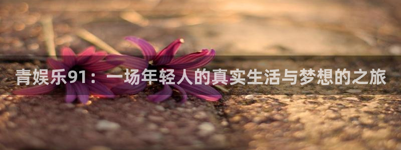 摩登7：青娱乐91：一场年轻人的真实生活与梦想的之旅