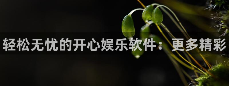 摩登7平台：轻松无忧的开心娱乐软件：更多精彩