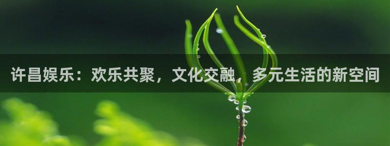 upload/20250701114914.jpg